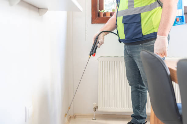 Reliable Grayling, MI Pest Control Solutions