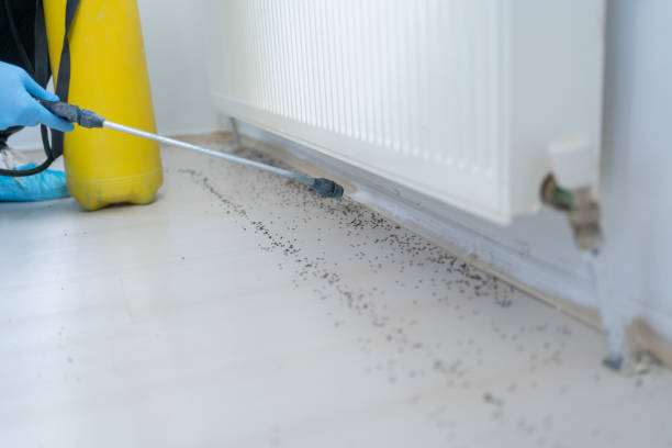 Best Pest Removal Services  in Grayling, MI